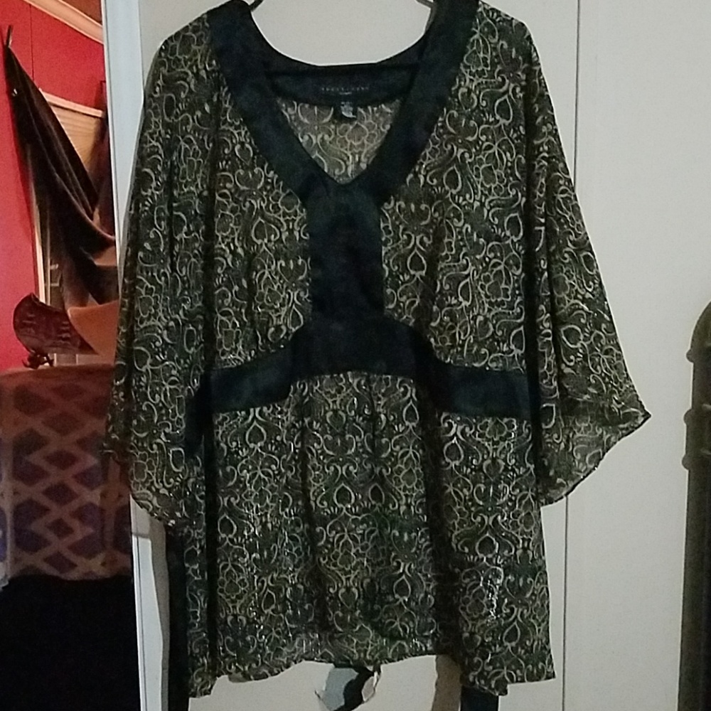Sheer Dress Shirt